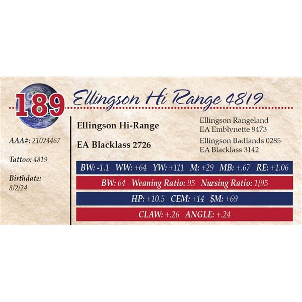 Ellingson Hi Range 4819