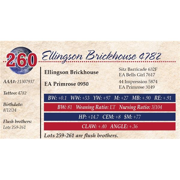 Ellingson Brickhouse 4782