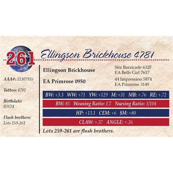 Ellingson Brickhouse 4781