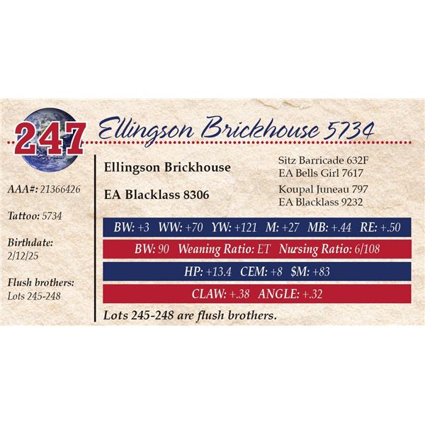 Ellingson Brickhouse 5734
