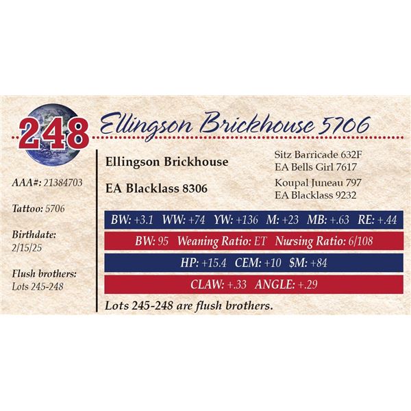 Ellingson Brickhouse 5706