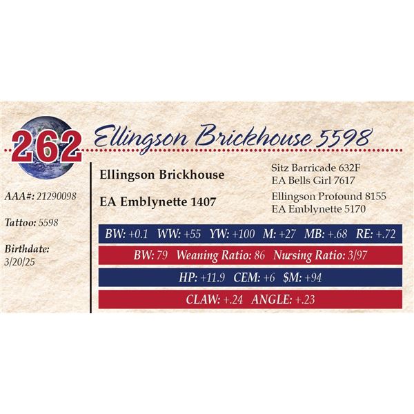 Ellingson Brickhouse 5598