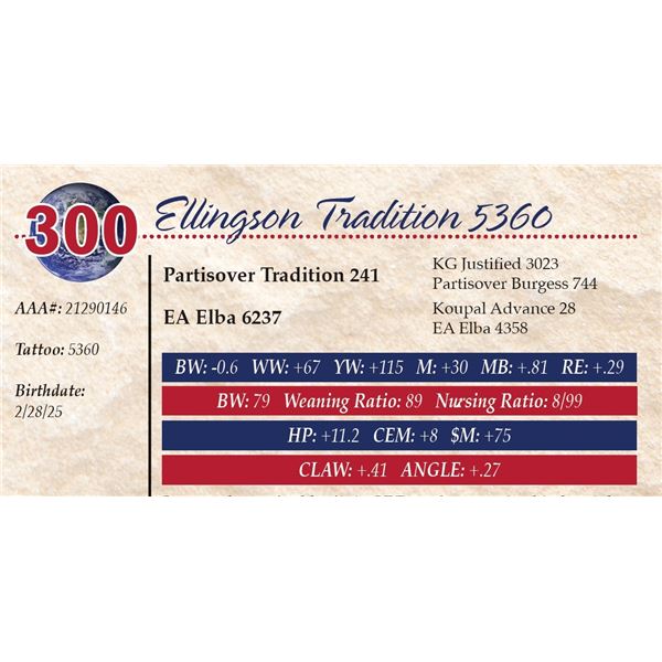 Ellingson Tradition 5360