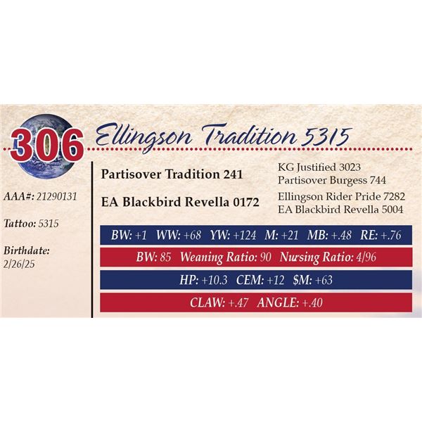 Ellingson Tradition 5315