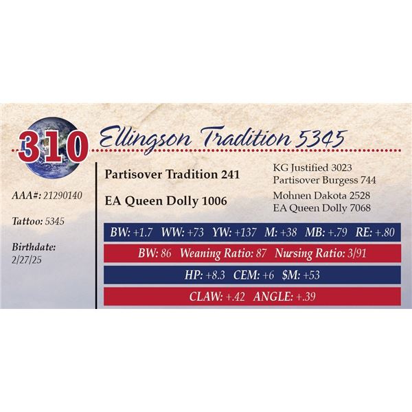 Ellingson Tradition 5345