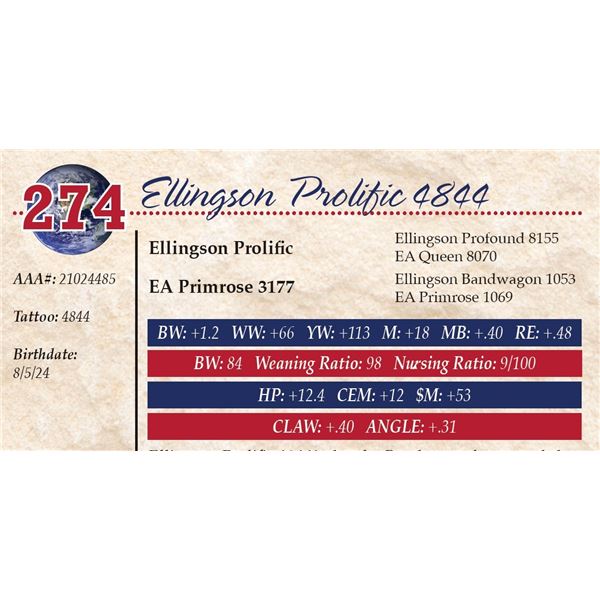 Ellingson Prolific 4844