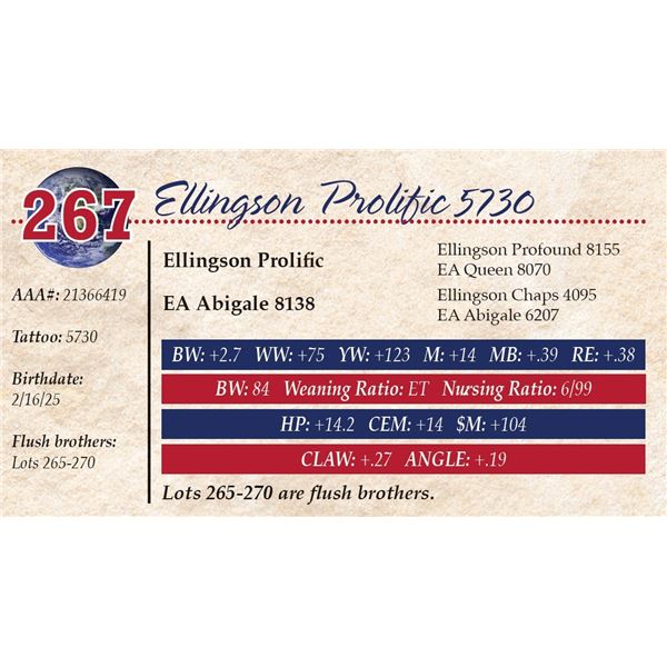 Ellingson Prolific 5730