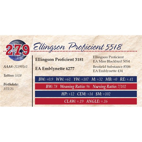Ellingson Proficient 5518