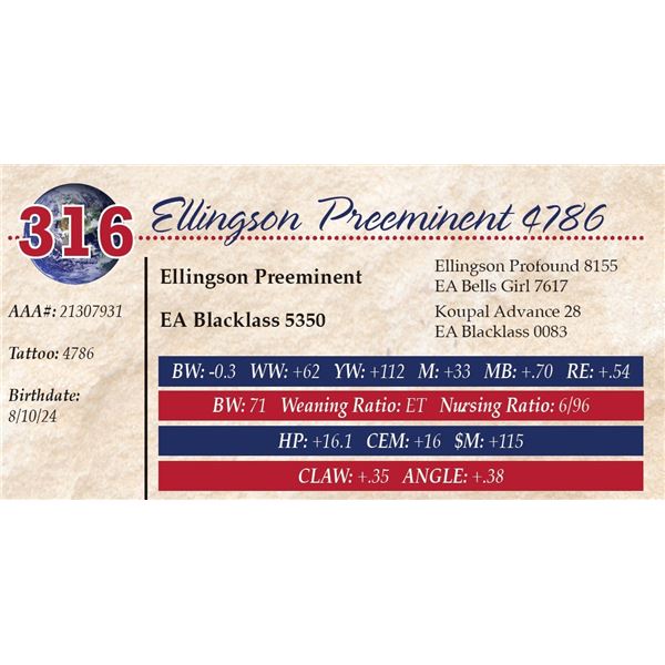 Ellingson Preeminent 4786