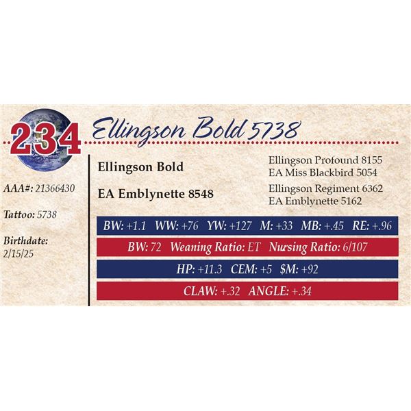 Ellingson Bold 5738