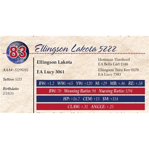 Ellingson Lakota 5222