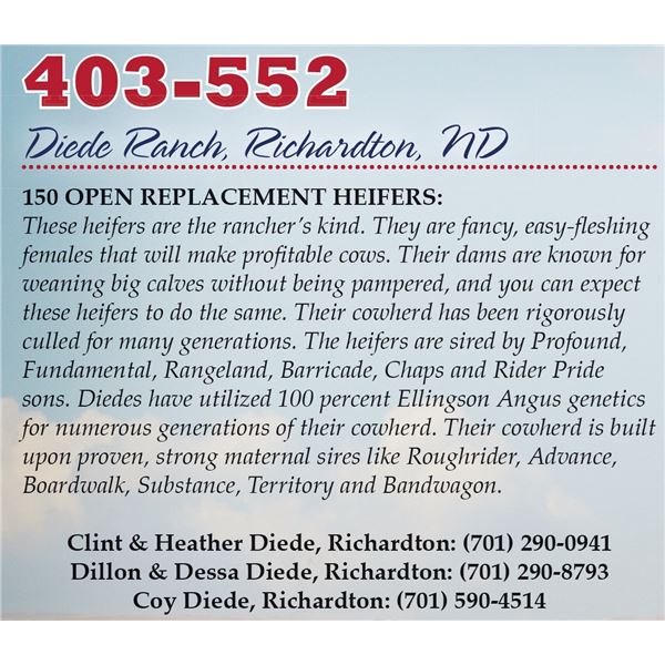 Diede Ranch Heifers – 75 Heifers, Avg. 750