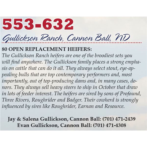 Gullickson Ranch Heifers – 75 Heifers, Avg. 778