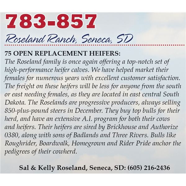 Roseland Ranch Heifers – 75 Heifers, Avg. 791