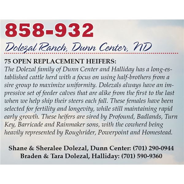 Dolezal Ranch Heifers – 75 Heifers, Avg. 715