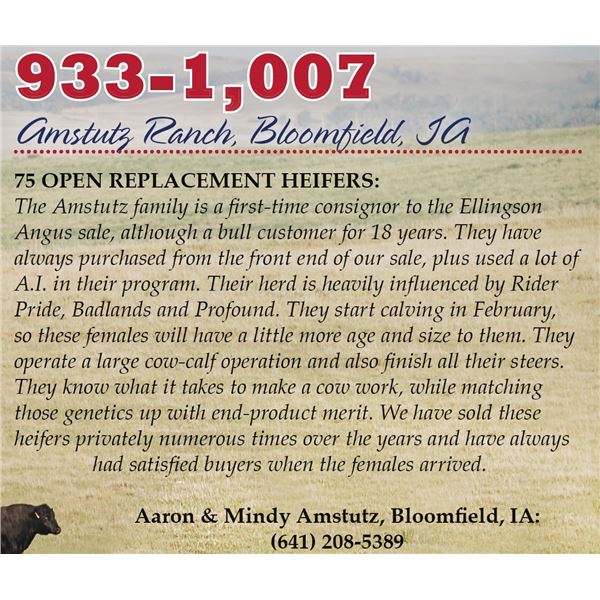 Amstutz Ranch Heifers – 75 Heifers, Avg. 861