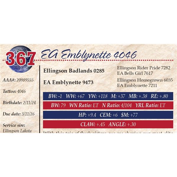 EA Emblynette 4046