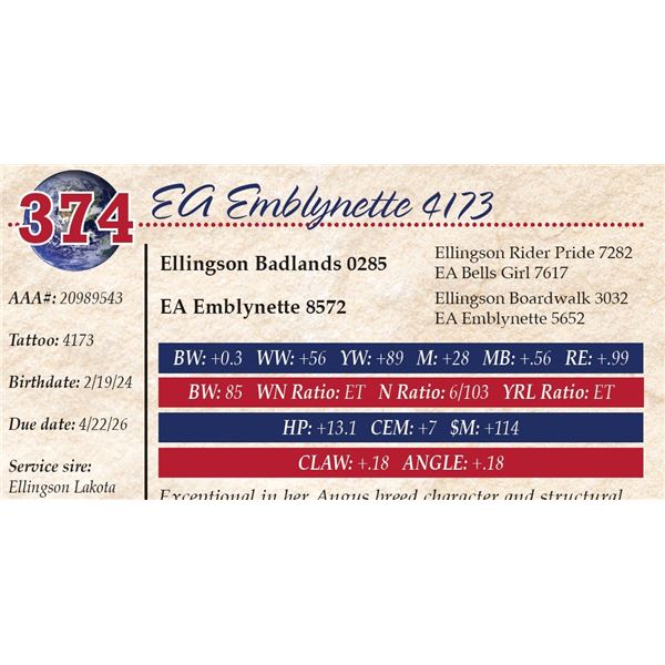 EA Emblynette 4173