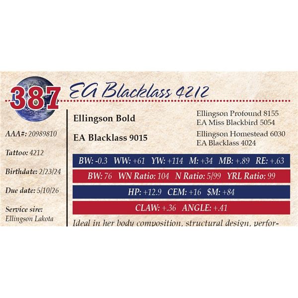 EA Blacklass 4212