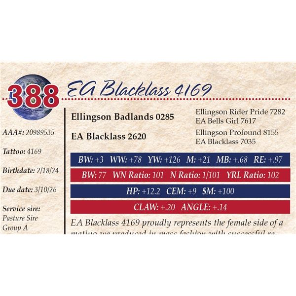 EA Blacklass 4169