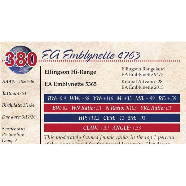 EA Emblynette 4763
