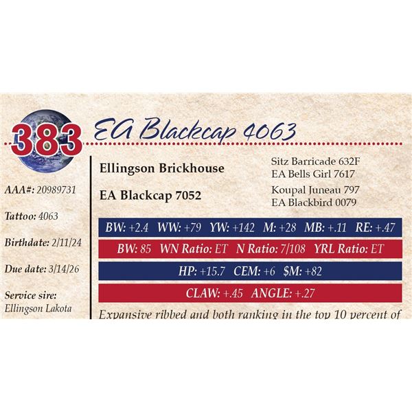 EA Blackcap 4063