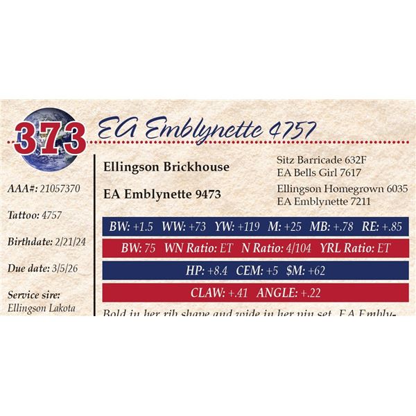 EA Emblynette 4757