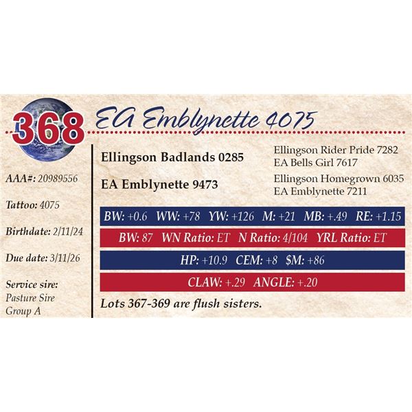 EA Emblynette 4075