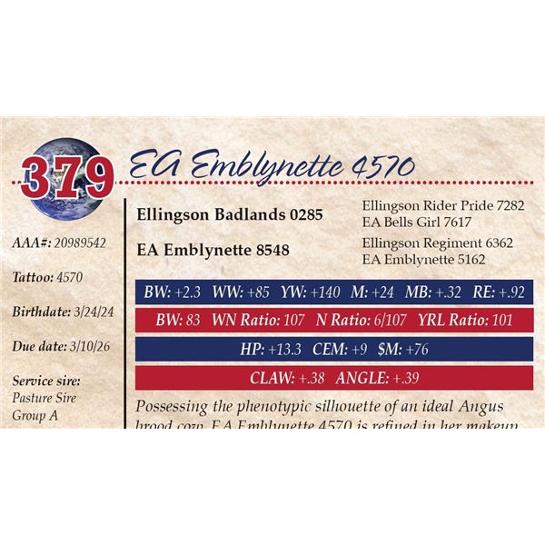 EA Emblynette 4570