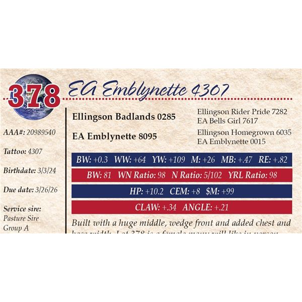 EA Emblynette 4307