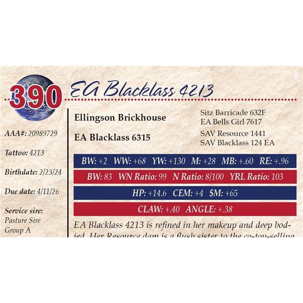 EA Blacklass 4213