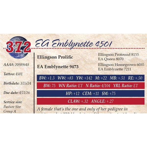 EA Emblynette 4501