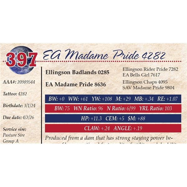 EA Madame Pride 4282