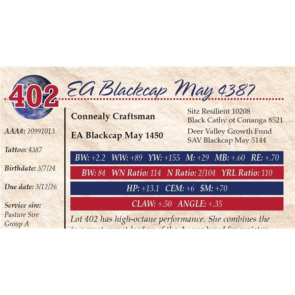 EA Blackcap May 4387