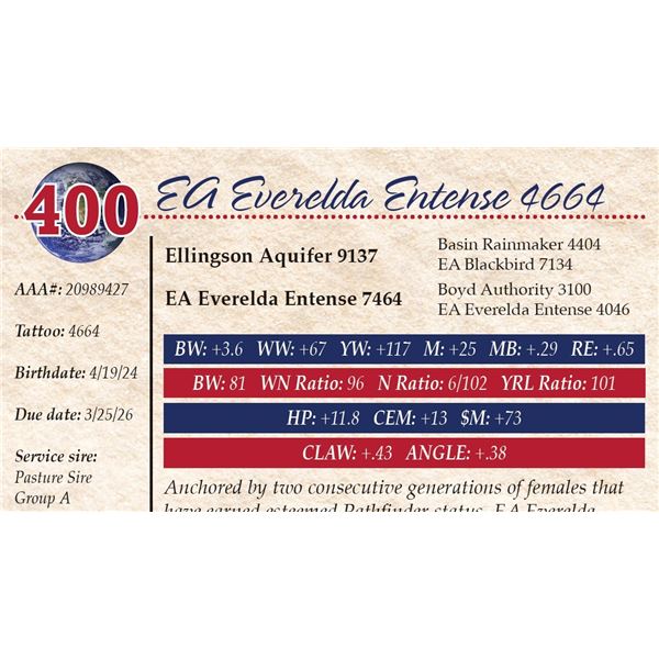 EA Everelda Entense 4664