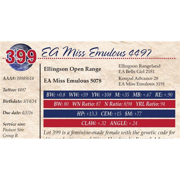 EA Miss Emulous 4497