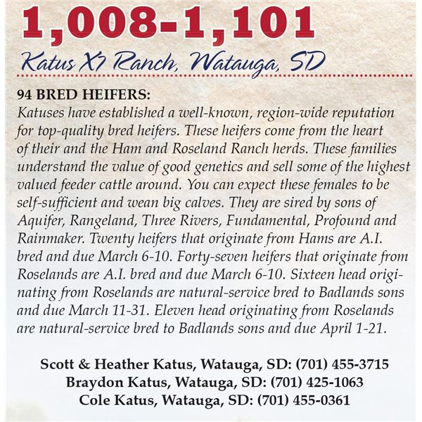 Katus X7 Ranch – 11 Natural-Bred Heifers - (Roseland origin, orange tag, due April 1-20)