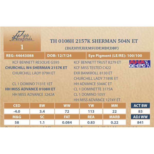 TH 0108H 2157K SHERMAN 504N ET