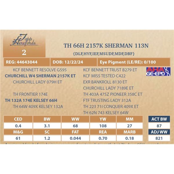 TH 66H 2157K SHERMAN 113N