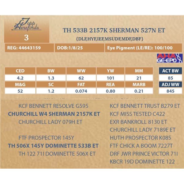 TH 533B 2157K SHERMAN 527N ET