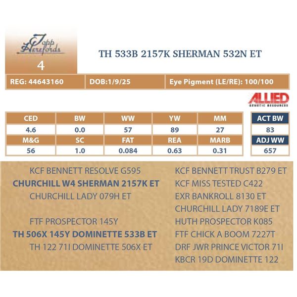 TH 533B 2157K SHERMAN 532N ET