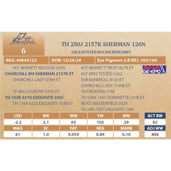 TH 250J 2157K SHERMAN 126N