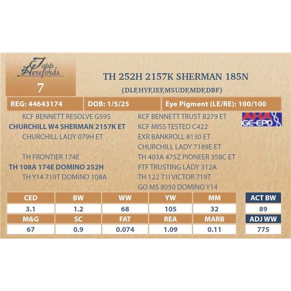 TH 252H 2157K SHERMAN 185N