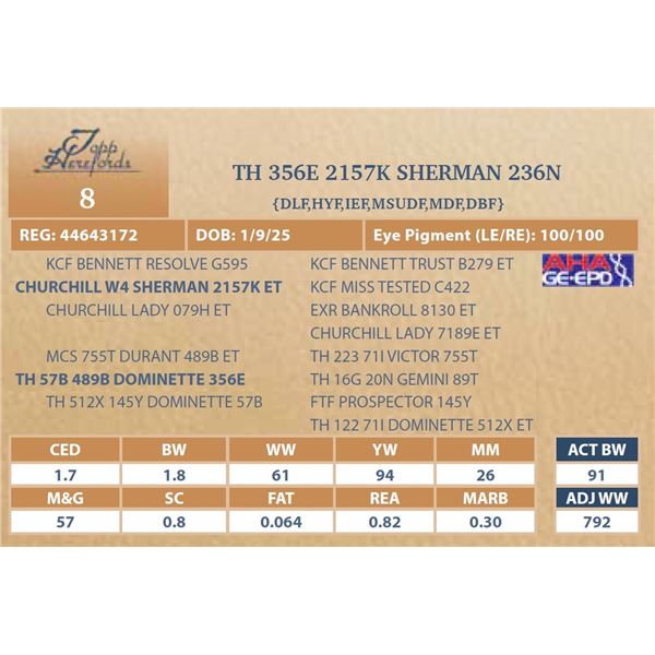 TH 356E 2157K SHERMAN 236N