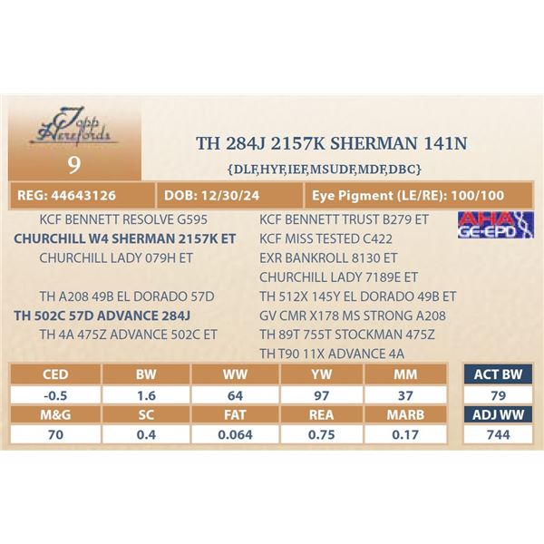 TH 284J 2157K SHERMAN 141N
