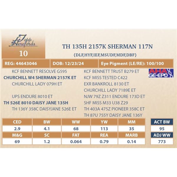 TH 135H 2157K SHERMAN 117N