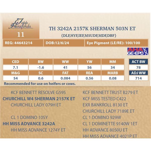 TH 3242A 2157K SHERMAN 503N ET