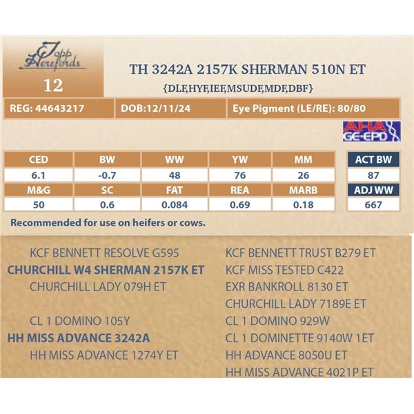 TH 3242A 2157K SHERMAN 510N ET