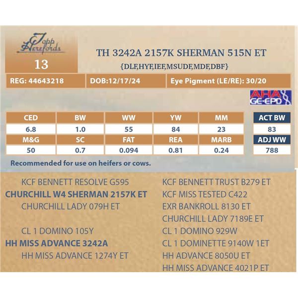 TH 3242A 2157K SHERMAN 515N ET