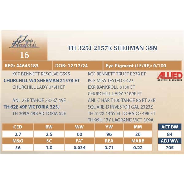 TH 325J 2157K SHERMAN 38N